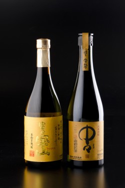 20130827_JGN13096_Shochu_fig2.jpg