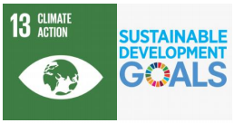 SDG Image Logo.png