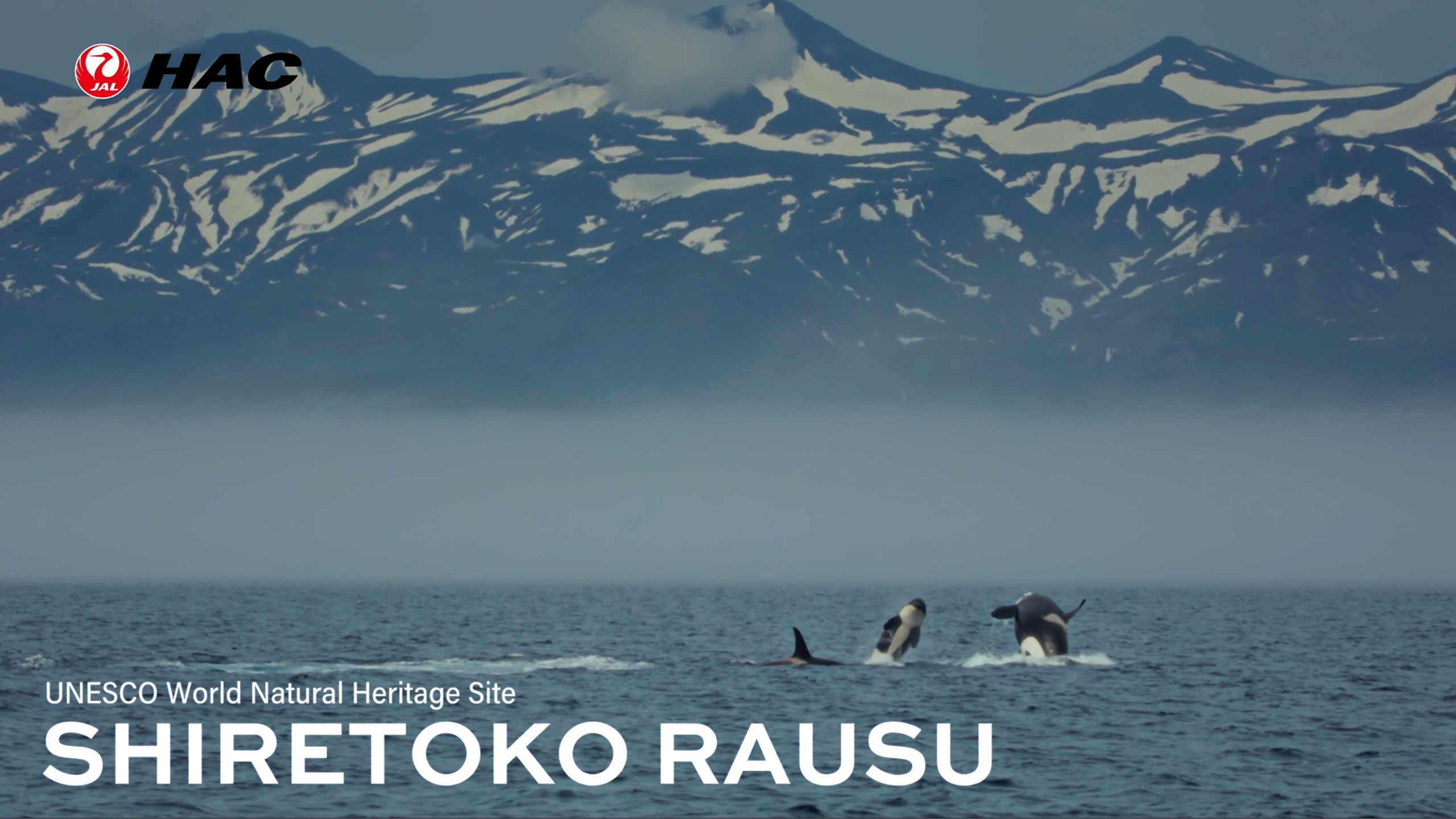 02_Shiretoko_rausu.png