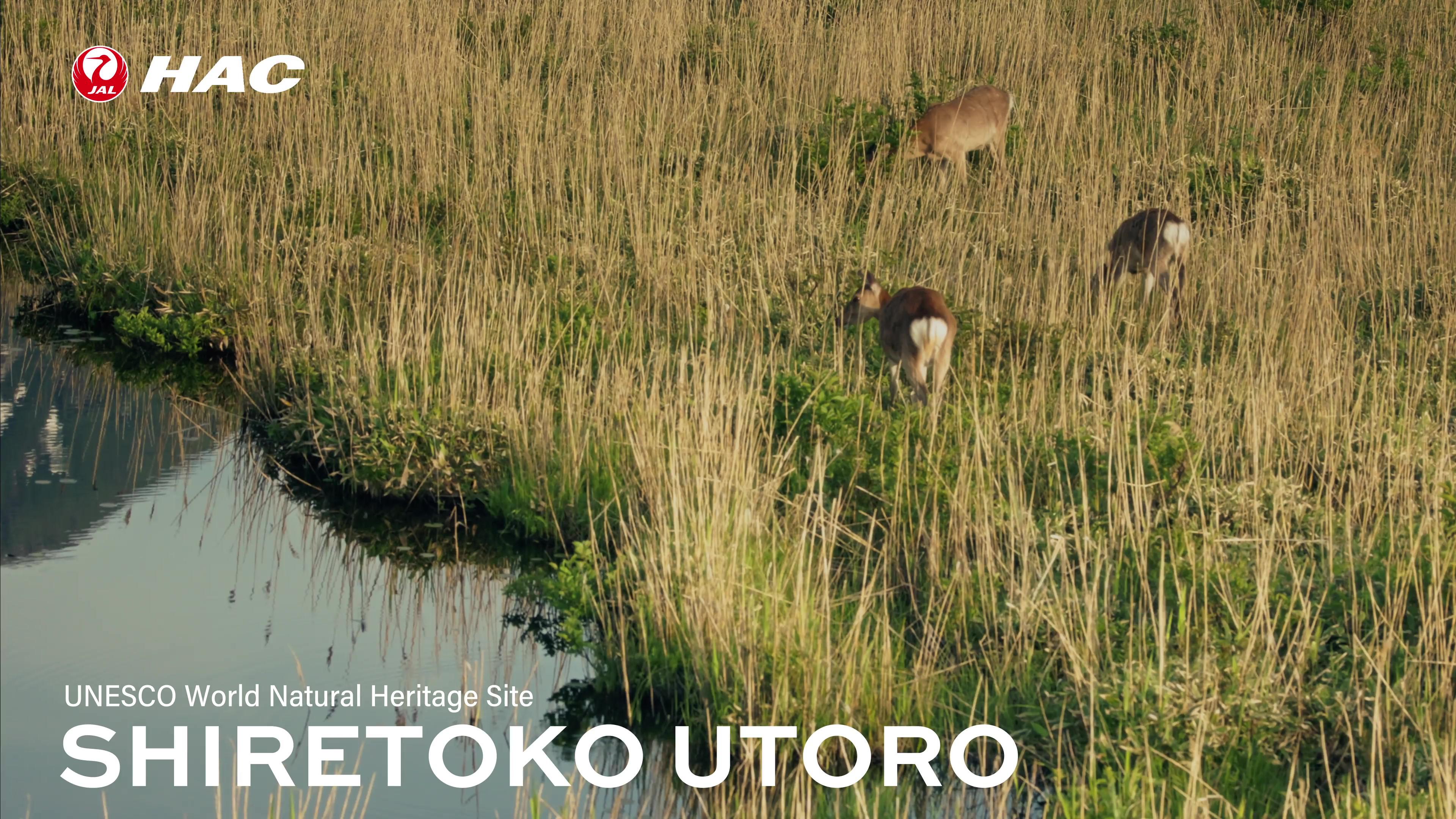 03_Shiretoko_utoro.jpg