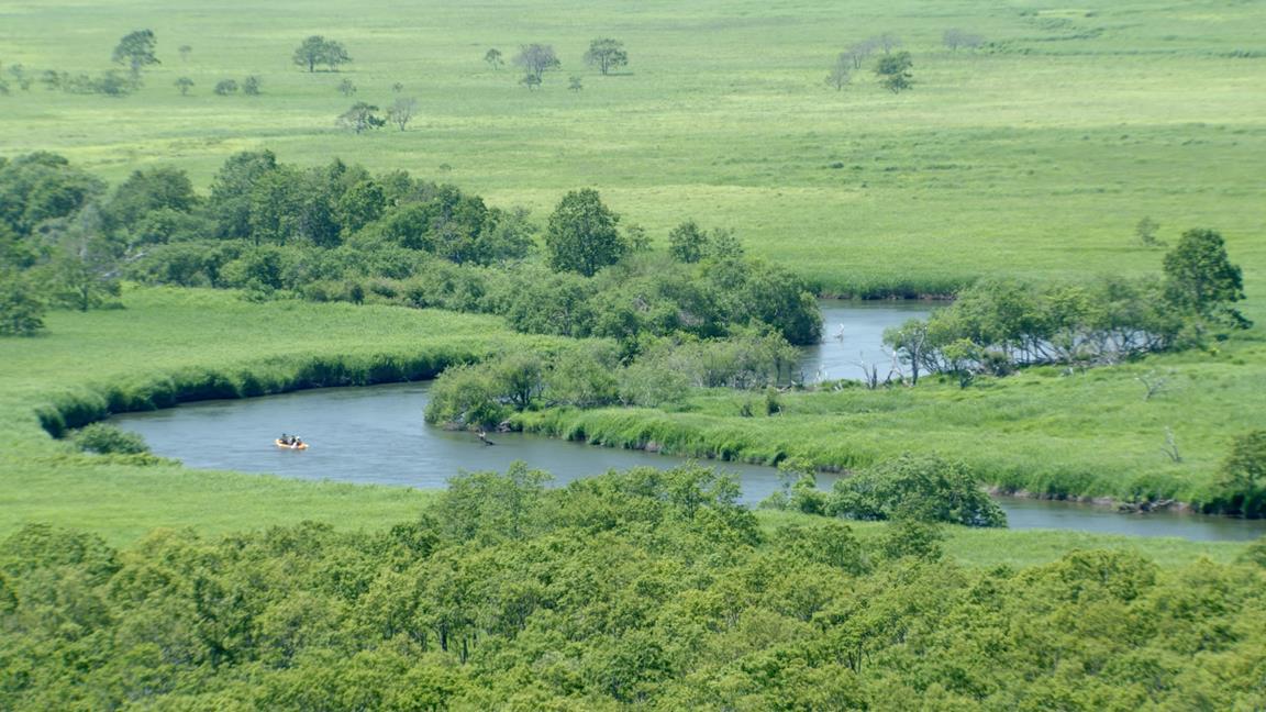 wetland.jpg