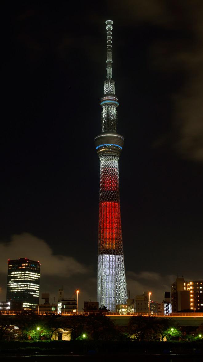 20170904_SKYTREE_fig2.jpg