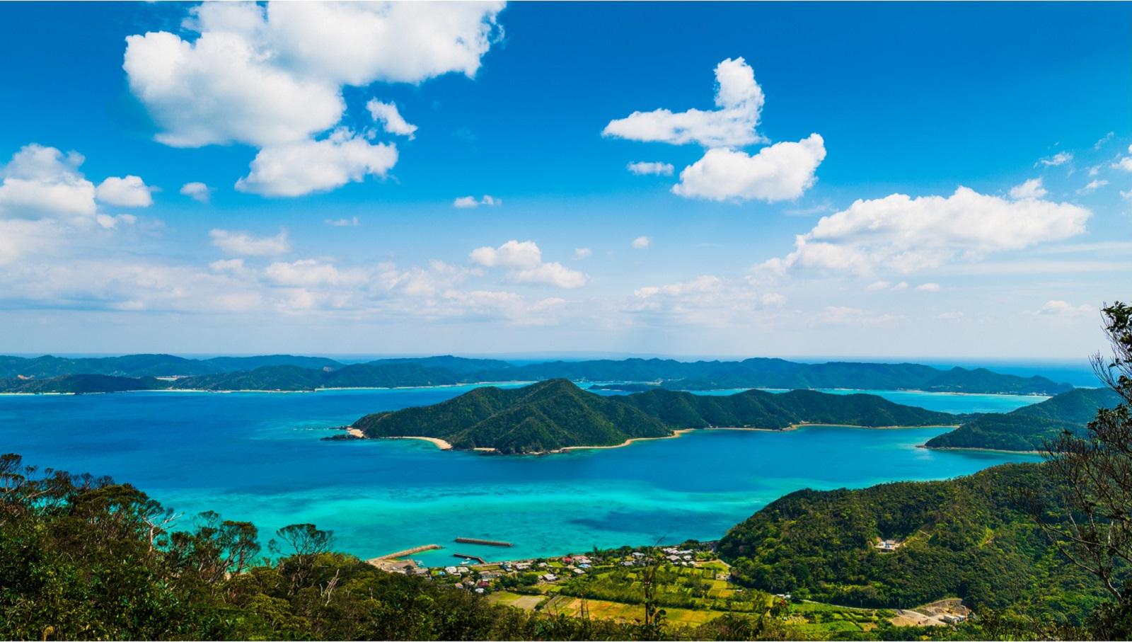 【龍郷町】奄美自然観察の森_龍郷湾.jpg