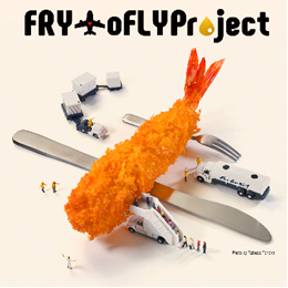 FRYtoFLY.png