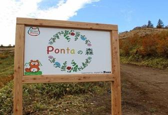 Pontaの森1.jpg