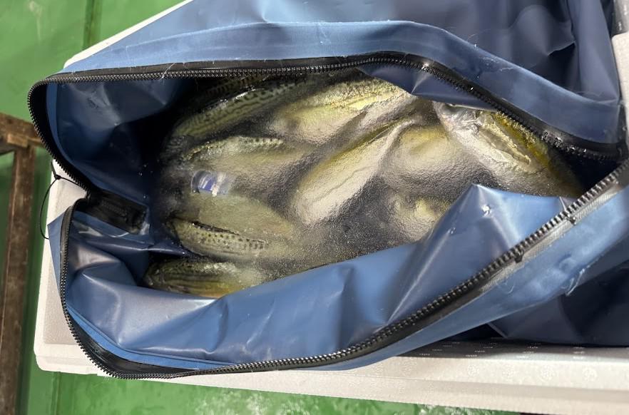 IMG_4270 編集版.jpg