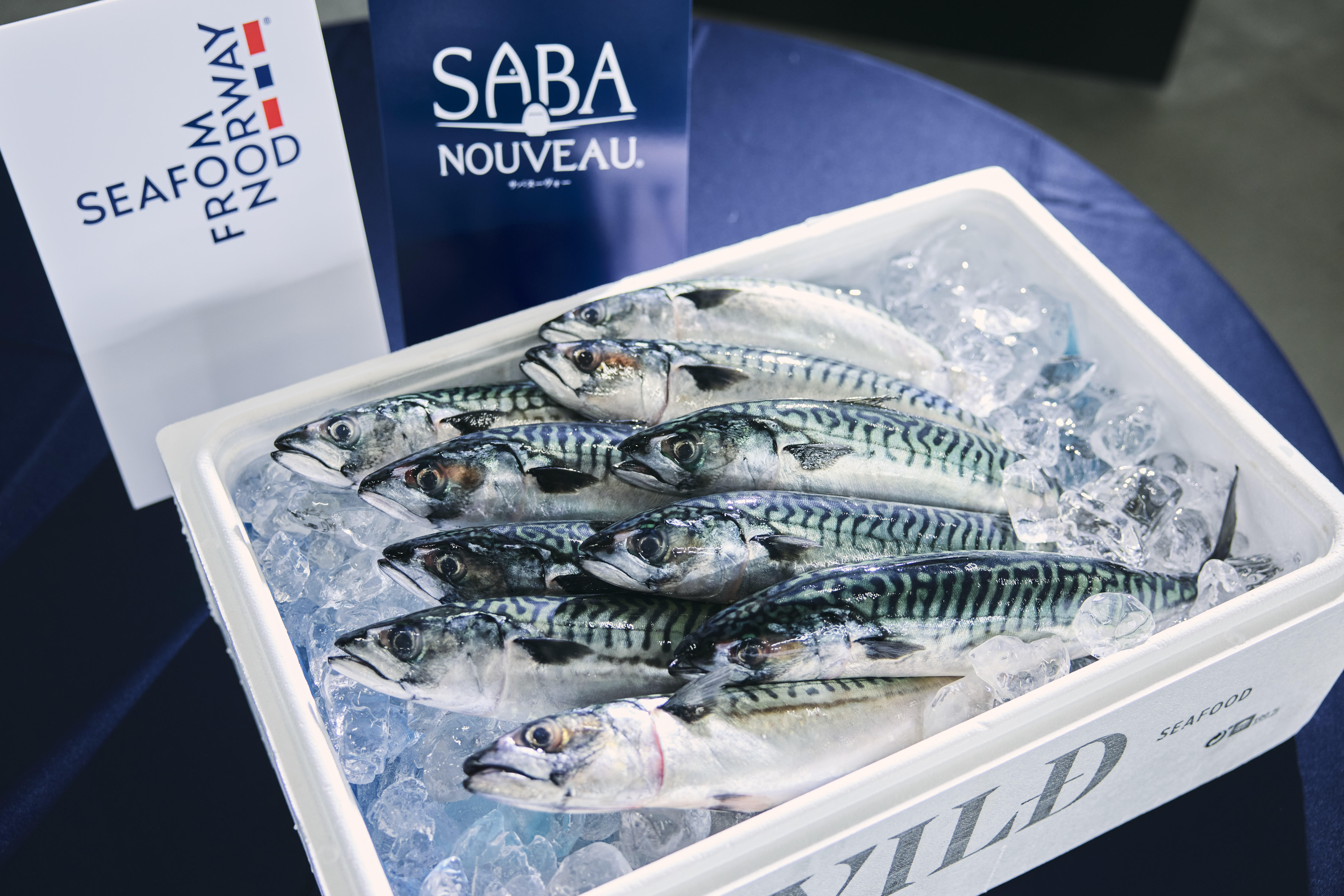 鯖　インフェ 初輸入から5年目となる秋の風物詩 最旬のノルウェー産プレミアムサバ